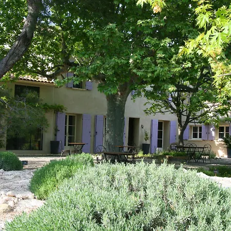 Couleur Lavande